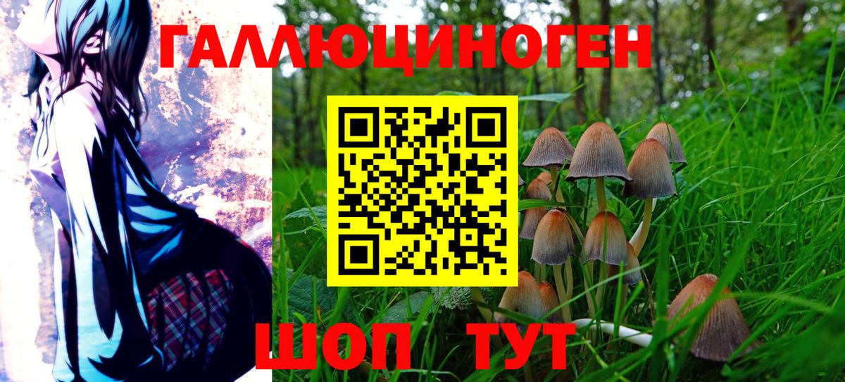 Кашира  Псилоцибиновые грибы Cubensis  купить   Вход с VPN 