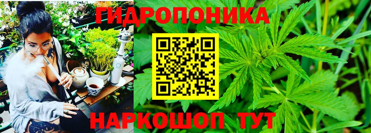 Шишки марихуана марихуана  Каннабис план  Вход с VPN  МАРИХУАНА конопля  Кашира 